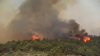 أوروبا تشهد موجة حر شديدة.. واندلاع الحرائق في تركيا وفرنسا (فيديو-صور)