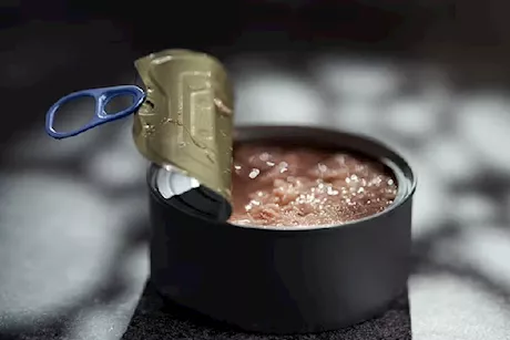 تناول التونة يوميًا- ماذا تفعل بالجسم؟