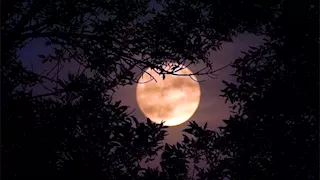 ظاهرة فلكية نادرة.. سماء العالم تتزين بـ"قمر الغزال" 