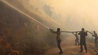 وزير الطوارئ السوري: حرائق الغابات في اللاذقية تحمل دلالات خطيرة