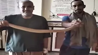ثعبان في الجامع.. لحظة اصطياد "كوبرا" داخل مسجد بالبحيرة- فيديو وصور