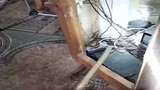 الرفاعي أخرجها من المنبر.. حكاية الكوبرا السامة التي أثارت رعب المصلين بالبحيرة