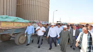 بزيادة 180 ألف طن.. محافظ المنيا يعلن إجمالي كميات القمح الموردة