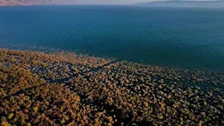 جفاف بحيرة طبريا: حين تتداخل تغيّرات المناخ "بالنبوءات"