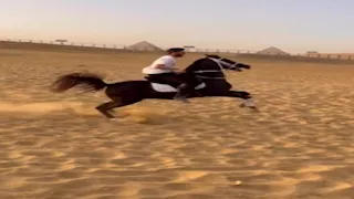 "يجيد الفروسية ولم ينضم لأي نادي حتى الآن".. أبرز المعلومات عن نجل عصام الحضري