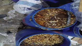 كارثة صحية في قويسنا.. ضبط كيان مخالف يصنع بطاطس بزيوت فاسدة - صور