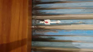 غلق 135 محلًا لمخالفة قرار الغلق ترشيدًا للكهربا