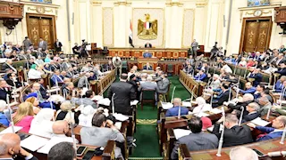 برلماني: توجيهات الرئيس لبناء إعلام وطني ضمانة لمواكبة التطورات العالمية