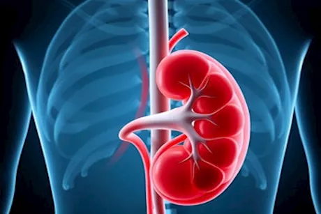 انتبه- 5 علامات مبكرة لبطء وظائف الكلى