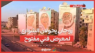 مشروع دهب أسوان.. زوجان يحولان الشوارع لمعرض فني مفتوح