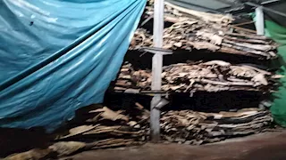 التحفظ على شحنتي جلود أبقار إسبانية خام بمصنع في قويسنا