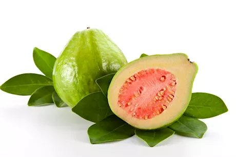 علاج البرد بالجوافة- هل هذا ممكن؟