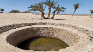 عيون موسى في خطر.. الجفاف يهدد مياه المعجزة التاريخية بسيناء