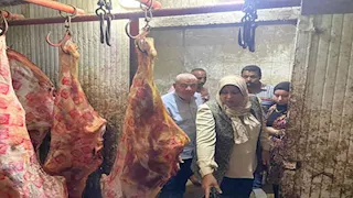 ضبط 5 أطنان لحوم حيوانات مذبوحة خارج المجازر بالمنوفية