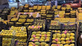 على أنغام الطبول.. سوق المانجو في الإسماعيلية يتحول إلى كرنفال شعبي (صور)