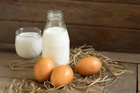 فوائد اللبن بالبيض للرجال- كيف يؤثران على الصحة الجنسية؟