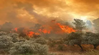  حرائق الغابات تقترب من رابع أكبر مدن تركيا