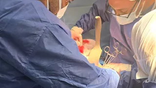 ملحمة طبية.. إنقاذ شاب عشريني بعد حادث مروّع بالمنوفية (صور)