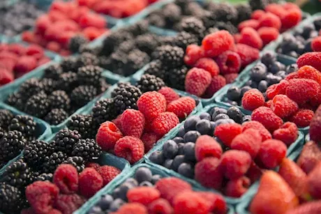 تحارب الشيخوخة والأمراض- 6 أطعمة غنية بمضادات الأكسدة 