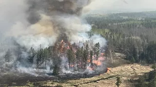 رويترز: حرائق غابات تجتاح البرتغال وإسبانيا وسط موجة حر شديدة