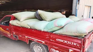 التوريد مستمر.. المنيا تتخطى نصف مليون طن قمح في موسم 2025 