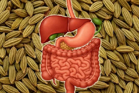تستحق التجربة- 4 وصفات بالشمر لتحسين الهضم