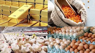 خريطة الأسعار اليوم: انخفاض العدس وارتفاع الذهب