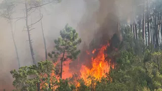 حرائق مدمرة تجتاح غابات إزمير بتركيا.. وقرى تُخلى بالكامل