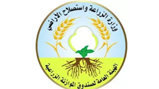 "الزراعة" تنفذ 14 ندوة تدريبية في 7 محافظات لتعزيز خصوبة التربة وزيادة الإنتاج