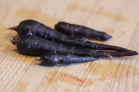 الجزر الأسود.. فوائد صحية مذهلة قد لا تعرفها