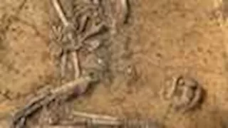 أول حقيبة يد في التاريخ.. عمرها 4500 عام ومزينة بأسنان الكلاب