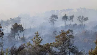 تركيا.. جهود مكثفة للسيطرة على حرائق غابات في عدة مواقع