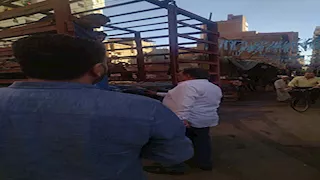 محافظ الدقهلية يستوقف سيارة أسطوانات بوتاجاز لمعاينة وزن الأنبوبة