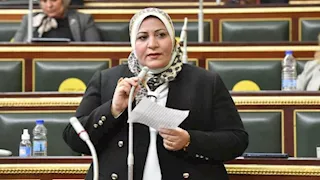 غادة الضبع تتقدم باستقالتها من البرلمان.. تعرف على السبب