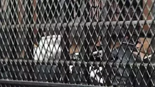 "قيدوه وطعنوه".. تفاصيل مروعة لأسرة أنهت حياة جارهم بكفر الشيخ