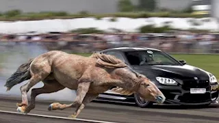 هل ترتبط السعة اللترية للمحرك بالقوة الحصانية للسيارة؟