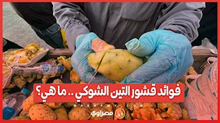 فوائد قشور التين الشوكي .. ما هي؟