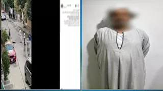 حارس عقار يضرب كلبًا حتى نفوقه بسبب كثرة نباحه بأكتوبر