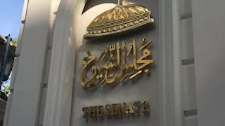 غدًا.. إعلان النتيجة الرسمية لانتخابات مجلس الشيوخ 2025 (تفاصيل)