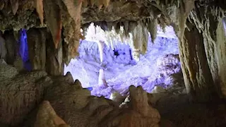 20 صورة لـ حكاية وادي سنور العجيب.. أسرار مصرية مدفونة منذ 40 مليون سنة 