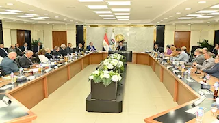 "القابضة للأدوية" تستهدف زيادة الأرباح 343% خلال العام المالي الحالي إلى 3.4 مليار جنيه