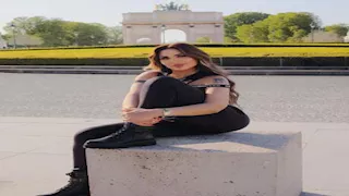 المحكمة تواجه "عراقي" بعلاقته بمؤسس عصابة سارة خليفة الهارب.. والمتهم يرد: بلدياتي