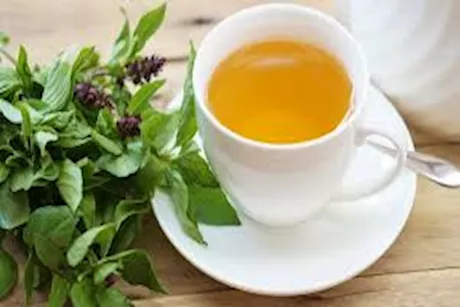 ماذا يحدث لجسمك عند تناول 5 أوراق من الريحان يوميًا؟