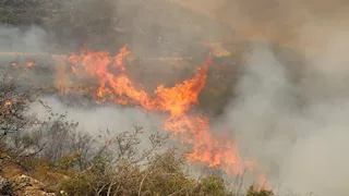 حرائق الغابات تهدد المناطق المحمية بشمال إيران