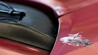 كيف تُزيل فضلات الطيور عن طلاء السيارة؟