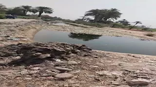 مدير ري أسيوط يرد على استغاثة مزارعي عرب مطير: المياه متوفرة والأراضي بحالة جيدة