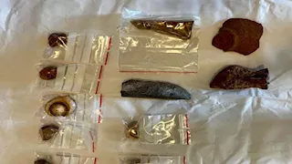 صور.. مصر تستعيد مجموعة قطع أثرية نادرة من هولندا