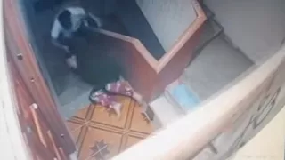 بعد فيديو السحل.. ضبط المعتدي على "سيدة الشرقية"