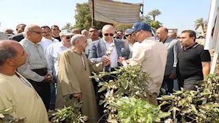 بالصور- محافظ بني سويف يفتتح موسم جني القطن من حقول إهناسيا