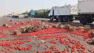 الطريق بقى صلصة.. ماذا حدث على صحراوي البحيرة؟ 